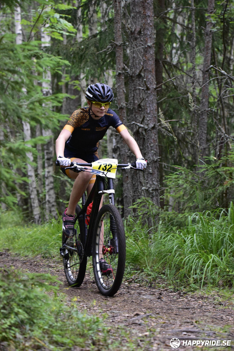 Bild från Engelbrektsturen 2019